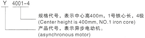 西安泰富西玛Y系列(H355-1000)高压YR5603-4/1400KW三相异步电机型号说明